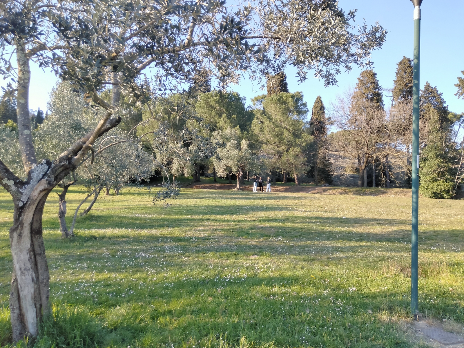 Parco di Galceti - area progetto
